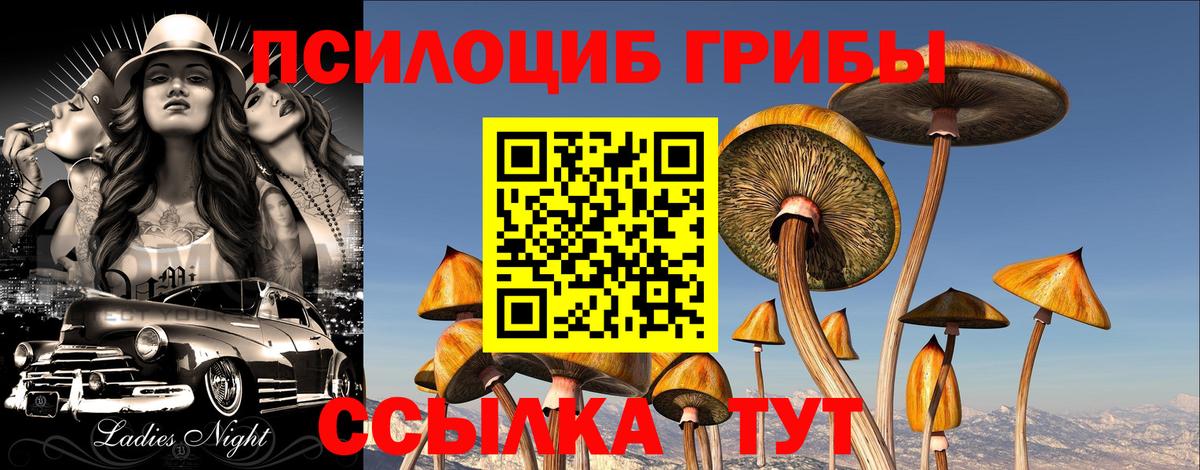 Галлюциногенные грибы мицелий  Псилоцибиновые грибы Psilocybine cubensis  Артёмовский  продажа наркотиков  Вход с VPN 