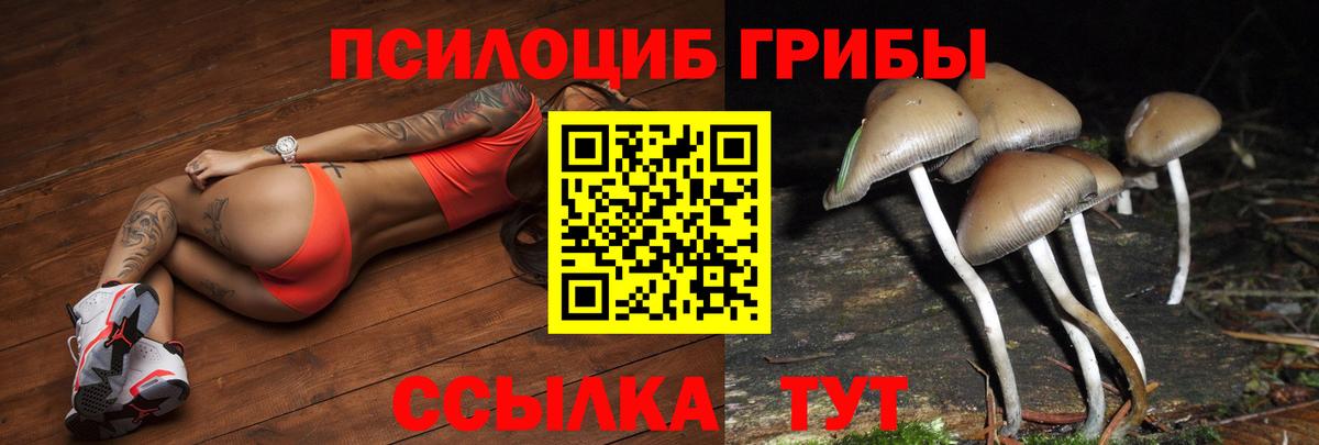 Галлюциногенные грибы мухоморы Артёмовский